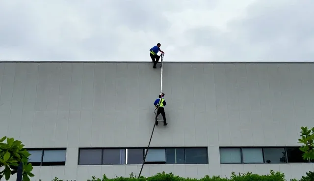 家庭环境中消杀服务的多场景应用与需求洞察
